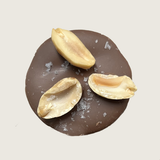 Mendiants- Milk Chocolate & salted peanut