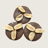 Mendiants- Milk Chocolate & salted peanut